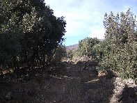 rruggeri-201011121 069